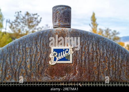 Nahaufnahme eines seltenen antiken Buick Emblems auf einer rostigen Lok Stockfoto