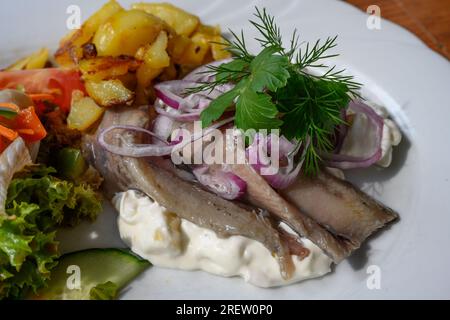 Matjes Fillet Hausfrauenart, Junges eingelegtes Hering Hausfrau Style mit Äpfeln und saurer Sahne, mit Roastkartoffeln und Salat Stockfoto