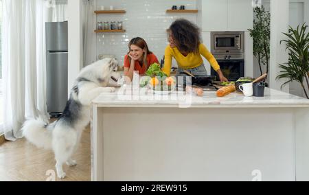 Zwei Frauen teilen sich einen fröhlichen Moment in der gemütlichen Küche. Inmitten ihres Gelächters sitzt ein sibirischer Husky aufmerksam mit hoffnungsvollen Augen auf einem Hauch von Stockfoto