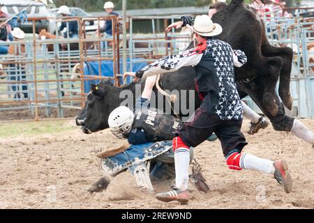 Fotos von Männern, Frauen und Kindern, die beim Rodeo in gresford auf Pferden und Bullen bei verschiedenen Veranstaltungen mitmachen Stockfoto