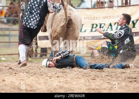 Fotos von Männern, Frauen und Kindern, die beim Rodeo in gresford auf Pferden und Bullen bei verschiedenen Veranstaltungen mitmachen Stockfoto