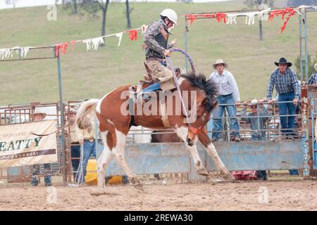 Fotos von Männern, Frauen und Kindern, die beim Rodeo in gresford auf Pferden und Bullen bei verschiedenen Veranstaltungen mitmachen Stockfoto