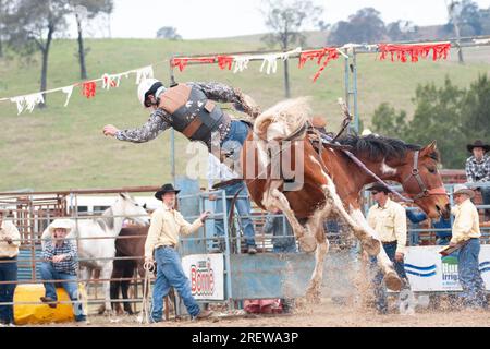 Fotos von Männern, Frauen und Kindern, die beim Rodeo in gresford auf Pferden und Bullen bei verschiedenen Veranstaltungen mitmachen Stockfoto