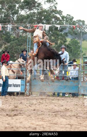 Fotos von Männern, Frauen und Kindern, die beim Rodeo in gresford auf Pferden und Bullen bei verschiedenen Veranstaltungen mitmachen Stockfoto