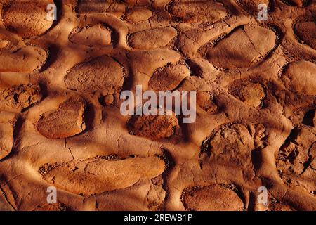 Blick von oben auf den Burnt Orange Walking Trail Stockfoto