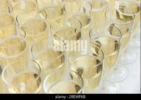 Mannheim, Deutschland. 29. Juli 2023. Sektgläser werden bei einem Champagnerempfang an der Universität erhältlich sein. Kredit: Silas Stein/dpa/Alamy Live News Stockfoto