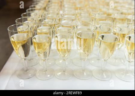 Mannheim, Deutschland. 29. Juli 2023. Sektgläser werden bei einem Champagnerempfang an der Universität erhältlich sein. Kredit: Silas Stein/dpa/Alamy Live News Stockfoto