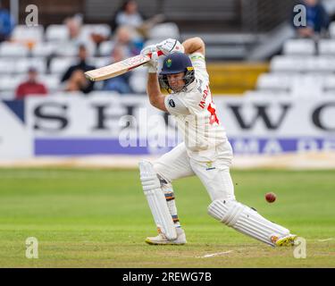 Colin Ingram schlägt für Glamorgan in einem County Championship Match gegen Derbyshire Stockfoto