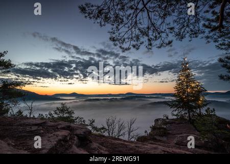 Fesselnder Sonnenaufgang in Wachtfelsen, Wernersberg. Bezaubernder Pfälzerwald: Nebel, Wolken und eine Tanne im Morgenglühen Stockfoto