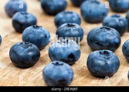 Frische reife Heidelbeeren mit Vitaminen, frisch geerntete und leckere Heidelbeeren, Heidelbeeren können roh gegessen werden Stockfoto