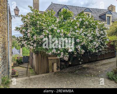 (C) Denis TRASFI / MAXPPP - Frankreich, Bretagne, Morbihan, Ville de Rochefort en Terre le 20 juillet 2023 - / Frankreich, Bretagne, Morbihan, Stadt Rochef Stockfoto