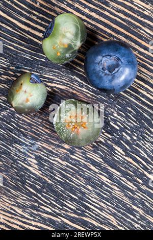 Frische, geschnittene Heidelbeeren, die roh gegessen werden können, geschnittene Heidelbeeren mit hohem Vitamingehalt, frisch geerntete und leckere Heidelbeeren in zwei Hälften geschnitten Stockfoto