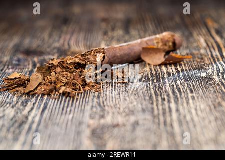 Echter Tabak aus Zigaretten, Tabak aus zerbrochenen und verdorbenen Zigaretten, verursacht Nikotinsucht, Tabak aus einer zerbröckelten Zigarette auf einem Schwarzschwein Stockfoto