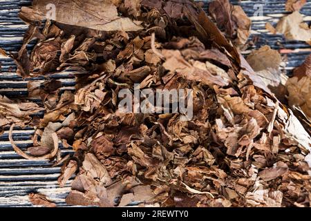 Echter Tabak aus Zigaretten, Tabak aus zerbrochenen und verdorbenen Zigaretten, verursacht Nikotinsucht, Tabak aus einer zerbröckelten Zigarette auf einem Schwarzschwein Stockfoto