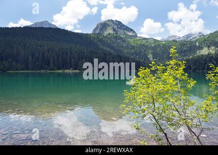 Blick auf die natürliche Landschaft am Black Lake (Crno Jezero) im Durmitor-Nationalpark, der zum UNESCO-Weltkulturerbe in Montenegro gehört Stockfoto