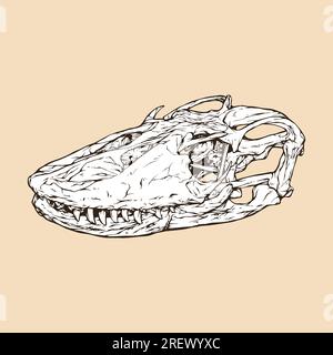 komodo-Drachen-Schädelkopfvektor-Illustration Stock Vektor