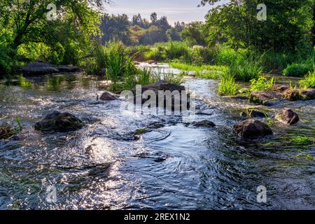 Ein wunderschöner Wasserstrahl tief im Wald. Kleiner Fluss mit Steinen und Kaskaden am Morgen. Perfekter Angelplatz Stockfoto
