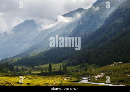 Sonnenlicht im Alpental Val di Fumo. Dramatischer Himmel. Bergwiesen und Fluss. Trentino. Italienische Alpen. Europa. Stockfoto