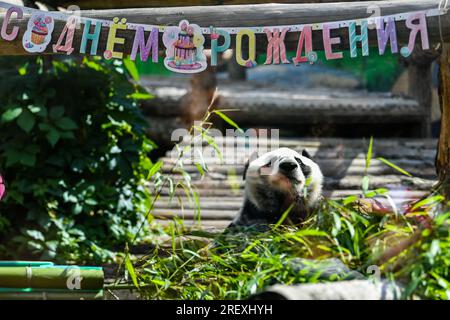 Moskau, Russland. 30. Juli 2023. Riesenpanda Dingding wird während ihrer Geburtstagsfeier im Moskauer Zoo in Moskau, Hauptstadt von Russland, am 30. Juli 2023 gesehen. Zwei Riesenpandas aus China, Ruyi und Dingding, die seit 2019 im Moskauer Zoo leben, haben ihre Geburtstagsfeier am Sonntag in Russland gefeiert. Kredit: Cao Yang/Xinhua/Alamy Live News Stockfoto