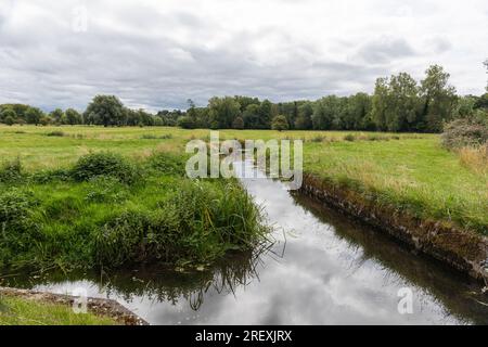 Harnham Water Meadows A Site of Special Scientific Interest, Salisbury, Wiltshire, England, Großbritannien Stockfoto