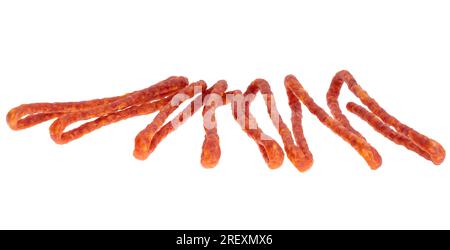 Kabanos isoliert auf weißem Hintergrund Stockfoto