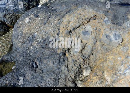 Die Störungsbeckenbildung ist eine Störungsbeckenbildung, die für die Schleifwirkung von zwei Reibblöcken gebildet wird. Dieses Foto wurde in Cape Creus, Girona, Katalonien, Spanien aufgenommen. Stockfoto
