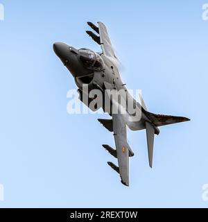 McDonnell Douglas EAV-8B+ Matador II Harrier, Escuadrilla 009 Spanische Marine, Rota. Stockfoto