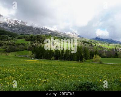 Ländliche Landschaft mit Feldern und Bäumen vor dem Dévoluy-Massiv in Hautes-Alpes in Frankreich. Stockfoto