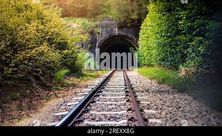 Eine schöne Aufnahme von Zug schienen von der Natur, die zu den dunklen Tunnel umgeben Stockfoto