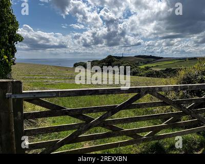 Gribben Head 190723 Stockfoto