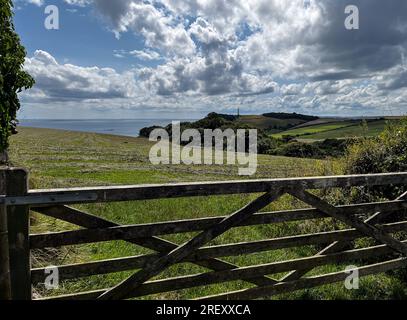 Gribben Head 190723 Stockfoto