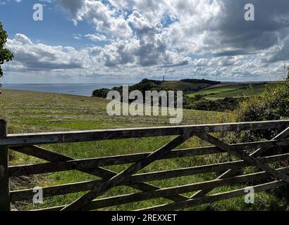 Gribben Head 190723 Stockfoto