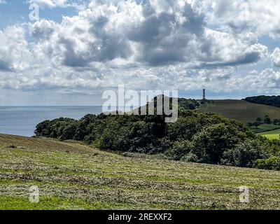 Gribben Head 190723 Stockfoto