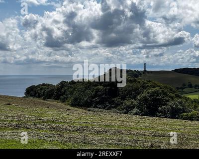 Gribben Head 190723 Stockfoto