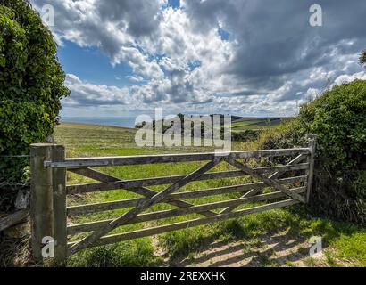 Gribben Head 190723 Stockfoto