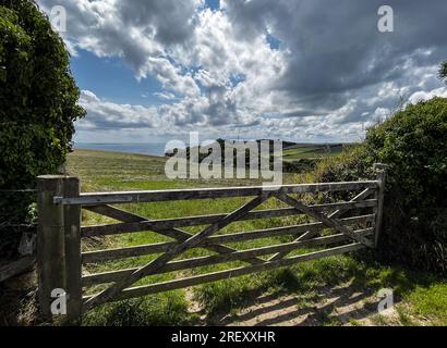 Gribben Head 190723 Stockfoto