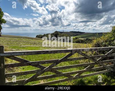 Gribben Head 190723 Stockfoto