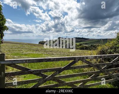 Gribben Head 190723 Stockfoto