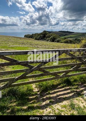 Gribben Head 190723 Stockfoto