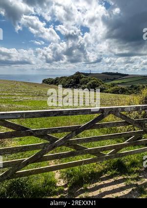 Gribben Head 190723 Stockfoto