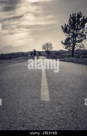 Niedrige Sicht in Schwarzweiß von einer Landstraße in Albergaria da Serra, Portugal. Stockfoto