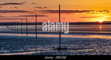 Sonnenuntergang im Sommer über dem Pilgerweg auf der Heiligen Insel Lindisfarne in Northumberland, England, Vereinigtes Königreich Stockfoto