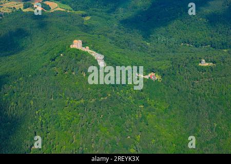 Blick aus einem Leichtflugzeug auf das Schloss Trifels, das sich im Pfalz in Deutschland befindet. Stockfoto