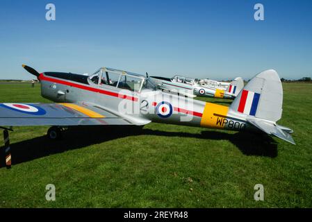 1952 De Havilland Canada DHC-1 Chipmunk Mk22 Plane WP800, G-BCXN, bei einem Wings & Wheels Fly-in am Turweston Aerodrome, Buckinghamshire, Großbritannien Stockfoto