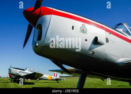 1950 De Havilland Canada DHC-1 Chipmunk Mk22 Flugzeug bei einem Flug mit Flügeln und Rädern im Turweston Aerodrome, Buckinghamshire, Großbritannien Stockfoto