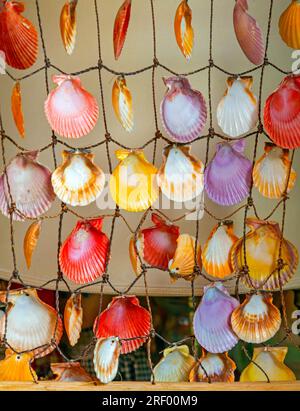Leere dekorative bunte Muscheln, die an einer Wand hängen Stockfoto