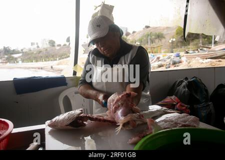 Lima, Peru; 1. Januar 2023: Frau, die Fische im Hafen von Chorios in der Stadt Lima in Peru säubert. Stockfoto