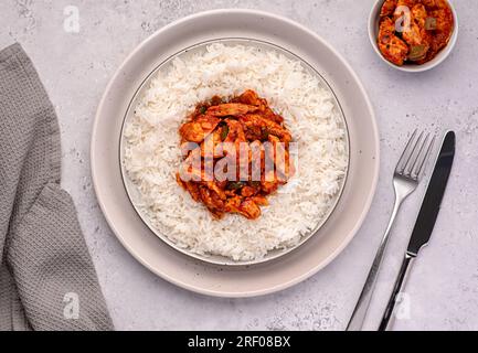 Lebensmittelfotografie von Reis, Basmati, Huhn, Eintopf, Auflauf, Herzhaftes Essen, Curry, Tomaten, Soße, hausgemacht, asiatisch, scharf, Fleisch Stockfoto