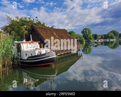 Alter Kutter, festgemacht im Schilf neben einem Bootshaus im Schwarzen See, Flecken Zechlin, Brandenburg, Deutschland, Rheinsberg Stockfoto