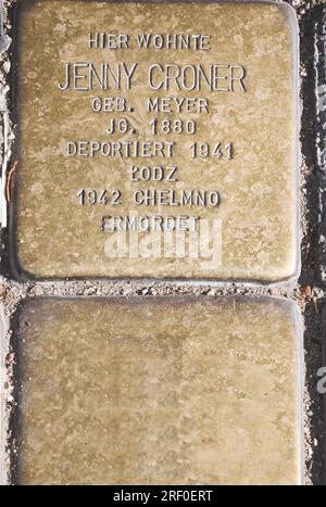 Hamburg, Deutschland. Messingplakette (Stolperstein) an eine jüdische Frau, die 1941 nach Lodz deportiert und 1942 im Vernichtungslager Chelmno bei Lodz ermordet wurde Stockfoto